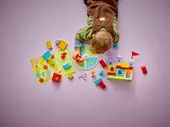 Hopsy's Castle Game