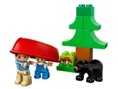 Forest: Fishing Trip