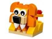 Orange Creative Box