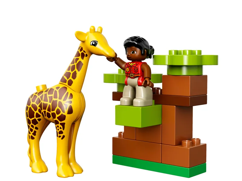 Savanna