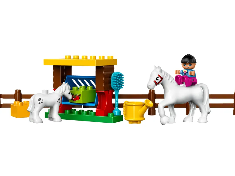 Horses