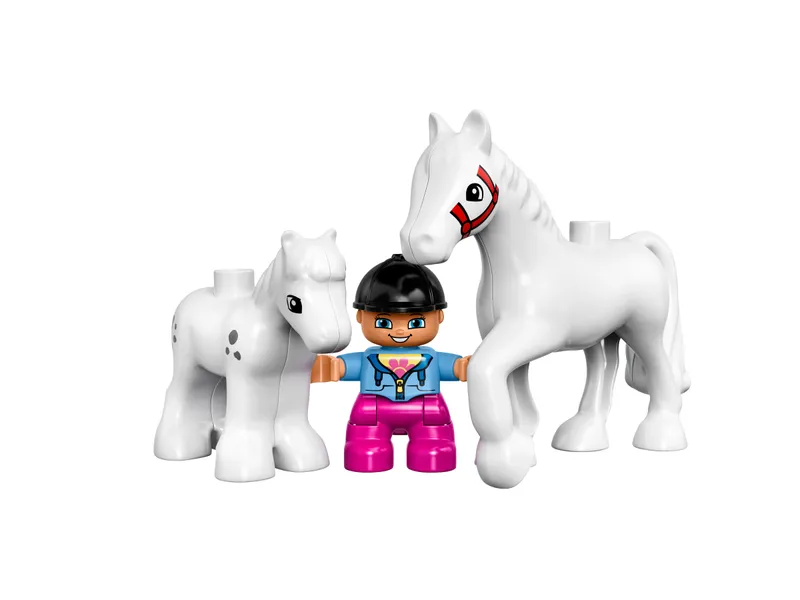 Horses