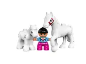 Horses