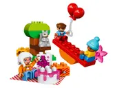 Birthday Picnic