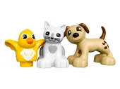 Family Pets