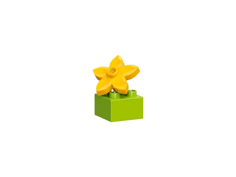Creative Box