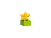Creative Box