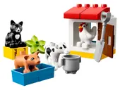 Farm Animals