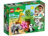 Baby Animals