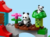 World Animals