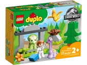 Dinosaur Nursery
