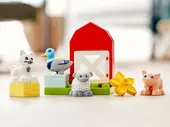 Farm Animal Care