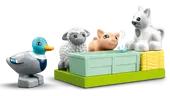 Farm Animal Care