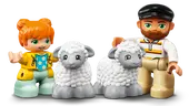 Farm Tractor & Animal Care