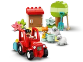 Farm Tractor & Animal Care