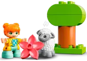 Farm Tractor & Animal Care