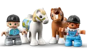 Horse Stable and Pony Care