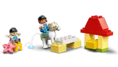 Horse Stable and Pony Care