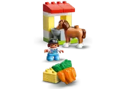 Horse Stable and Pony Care