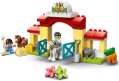 Horse Stable and Pony Care