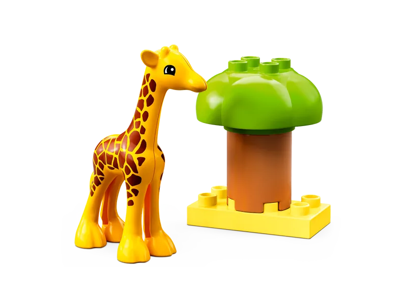 Wild Animals of Africa