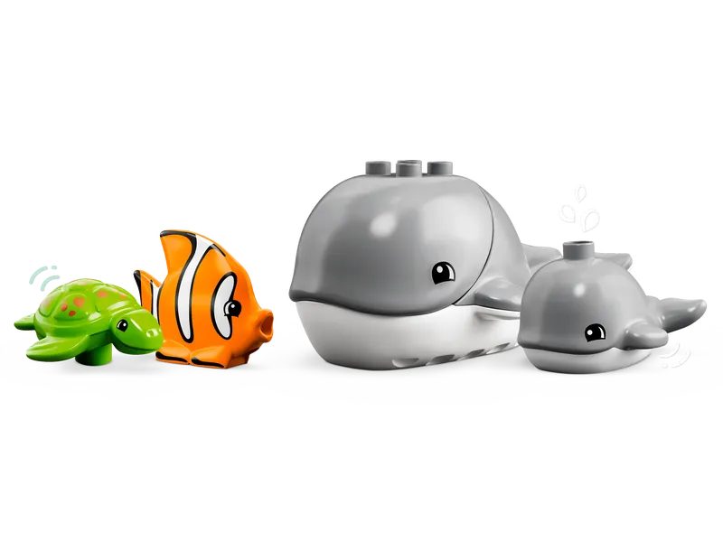 Wild Animals of the Ocean