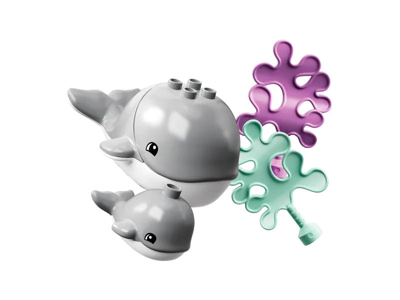 Wild Animals of the Ocean