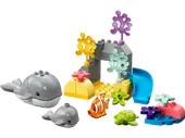Wild Animals of the Ocean