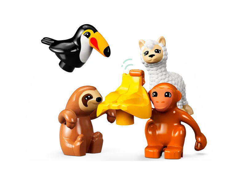 Wild Animals of South America