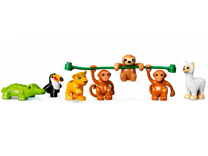Wild Animals of South America