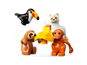 Wild Animals of South America