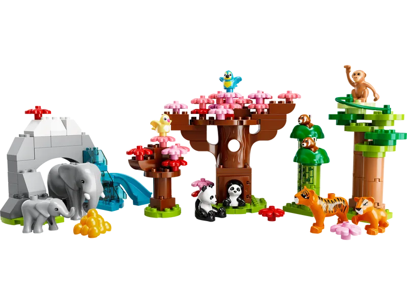 Wild Animals of Asia