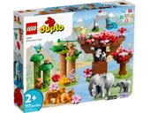 Wild Animals of Asia