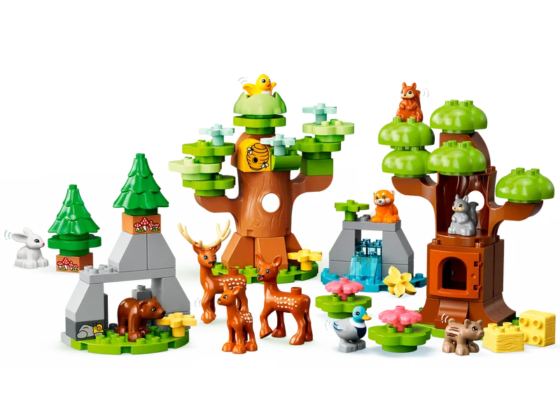 Wild Animals Of Europe Wild Animals Of Europe