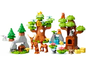 Wild Animals Of Europe