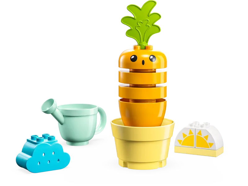Growing Carrot