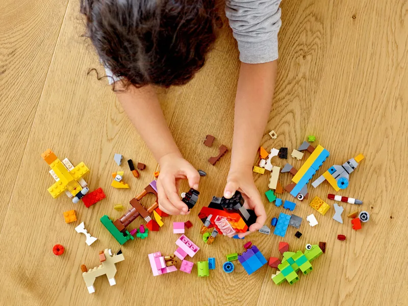 Basic Brick Set Basic Brick Set