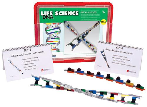DNA Student Set DNA Student Set