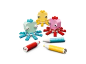 Creative Color Fun