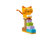 Creative Pets