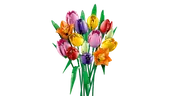 Tulip Bouquet