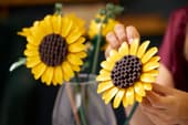 Sunflower Bouquet
