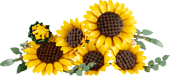 Sunflower Bouquet