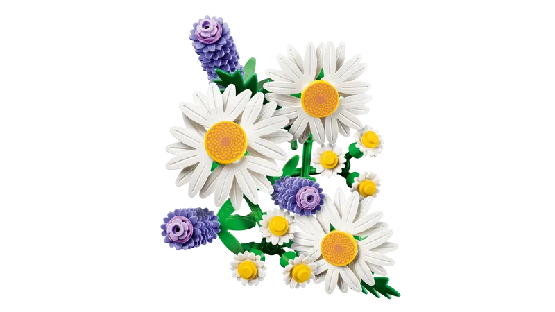 Daisies