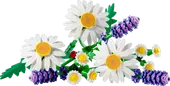 Daisies