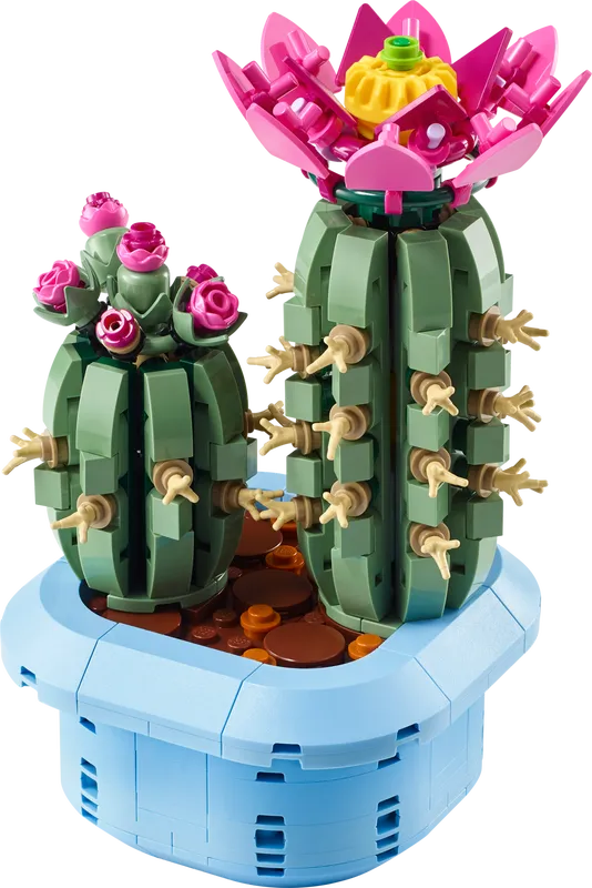 Flowering Cactus