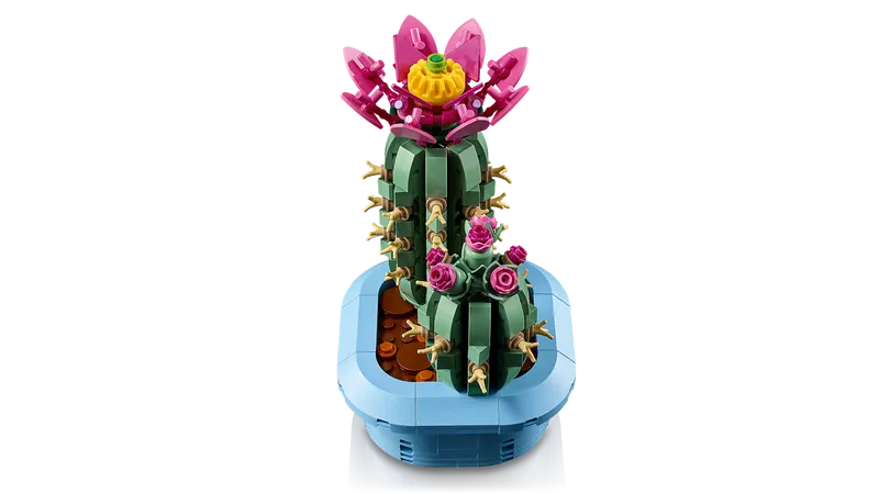 Flowering Cactus