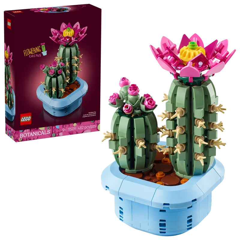 Flowering Cactus