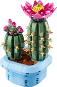 Flowering Cactus