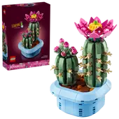 Flowering Cactus